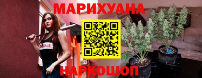 крисы Гатчина