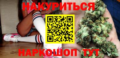 крисы Гатчина