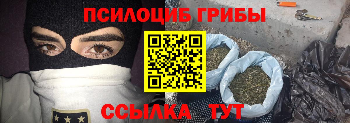 Галлюциногенные грибы Cubensis  Вход с VPN  Канаш  Галлюциногенные грибы GOLDEN TEACHER 